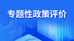 專題性政策評價